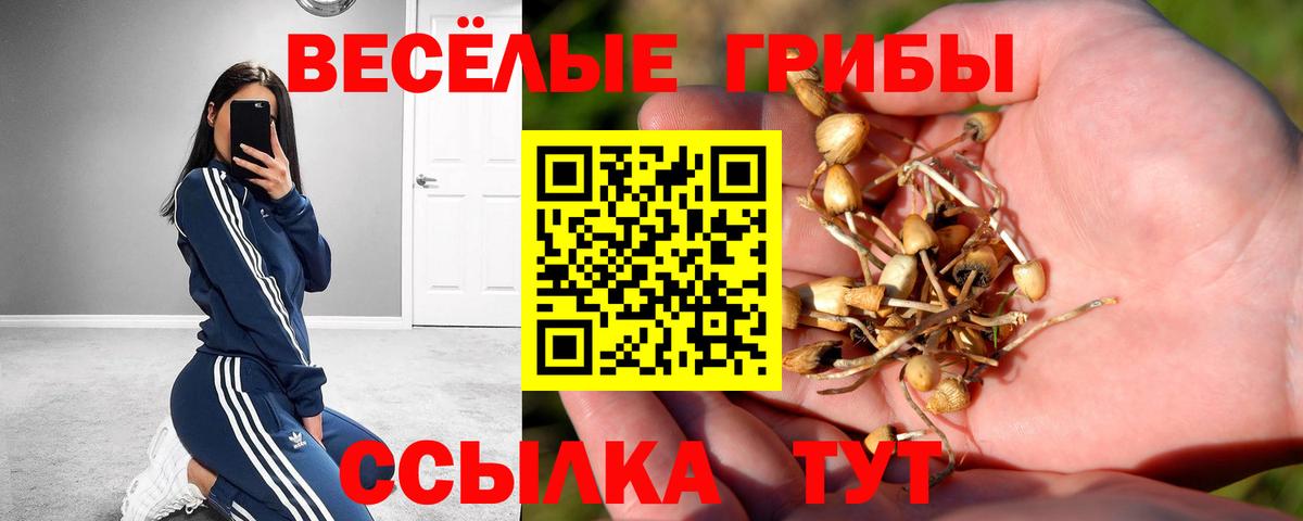 Галлюциногенные грибы GOLDEN TEACHER Наро-Фоминск