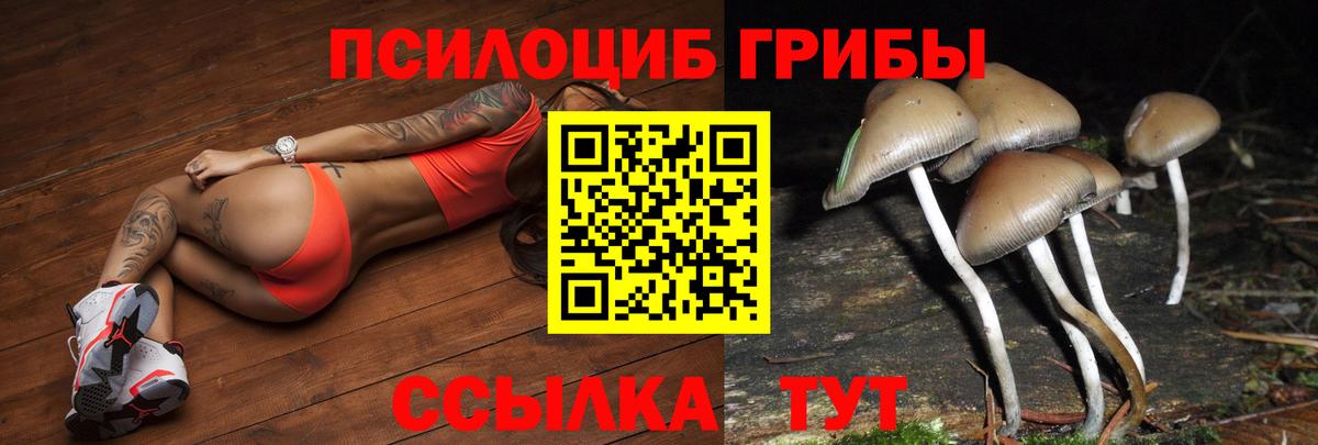 Наро-Фоминск  Галлюциногенные грибы Psilocybe  Вход с VPN  Галлюциногенные грибы Psilocybe 